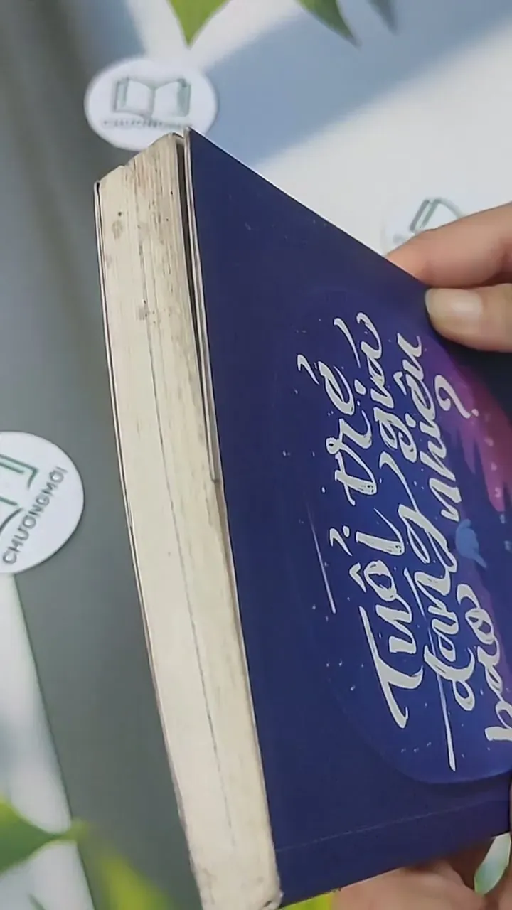 Tuổi Trẻ Đáng Giá Bao Nhiêu? 705622