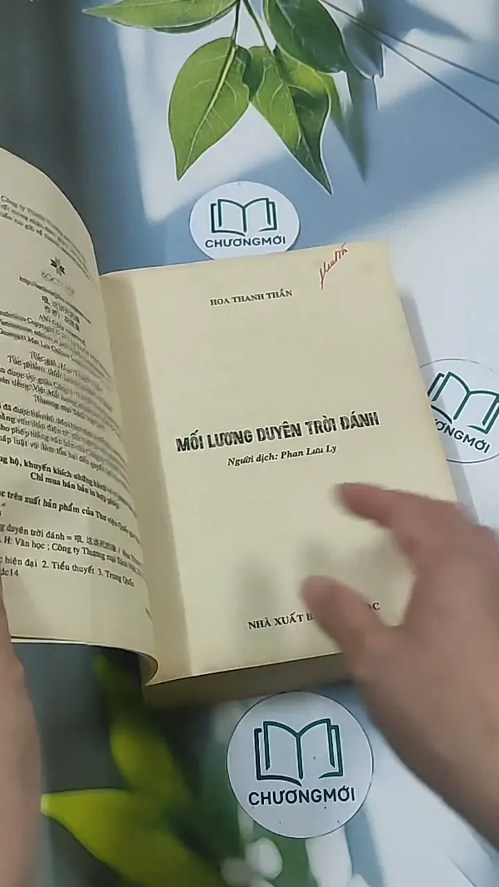 Mối lương duyên trời đánh - Hoa Thanh Thần 694961