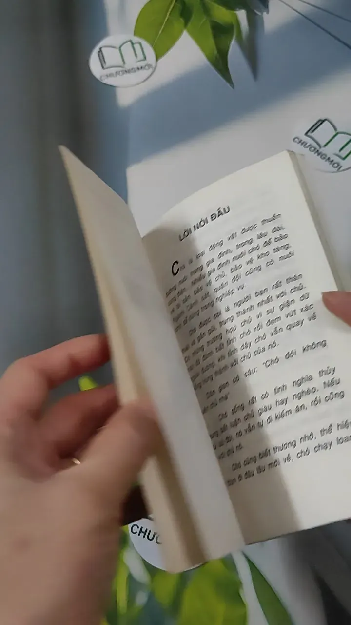 [XƯA] Cẩm Nang Nuôi Dạy Chó (1999) - Hoàng Long-Đặng Đức Trinh 780854