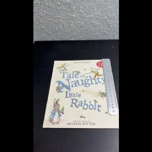 The Tale of a Naughty Little Rabbit