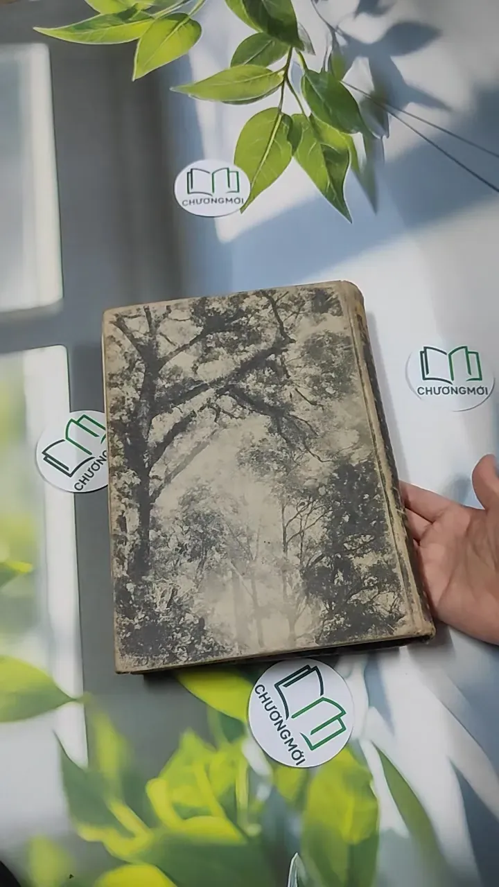 [MIỄN PHÍ BỌC SÁCH] The Plant World - Harry J. Fuller 750801