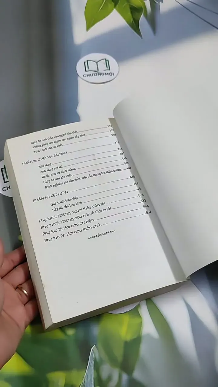 Tạng Thư Sinh Tử - Sogyal Rinpoche 705658