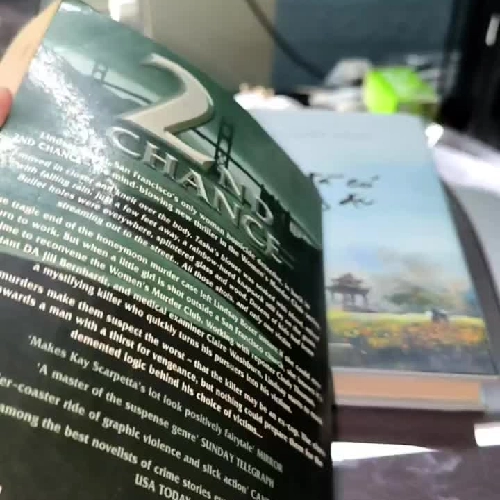 2ND CHANCE - JAMES PATTERSON
