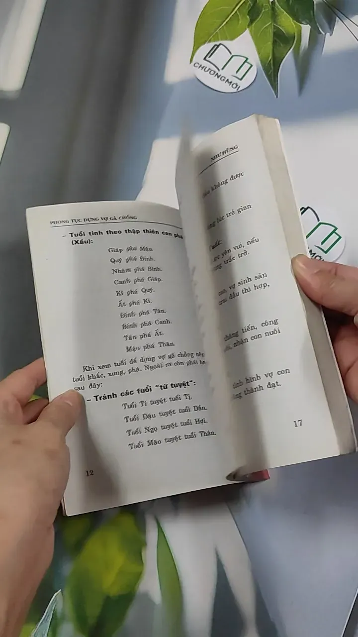 Phong Tục Dựng Vợ Gả Chồng - Như Hùng 776135