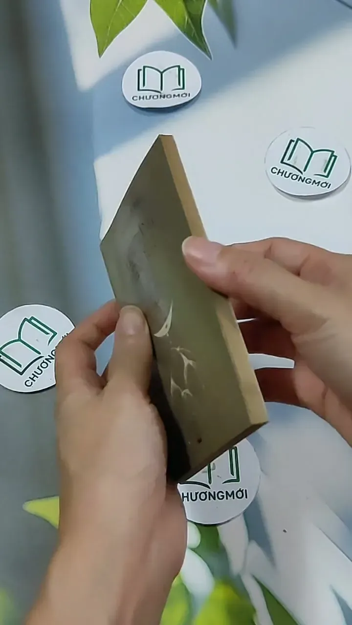 Hoa Trắng Tình Yêu - Ngô Văn Phú 703156