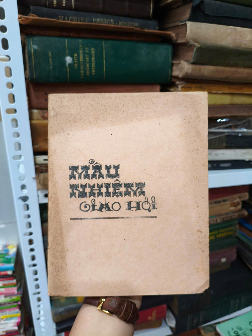 Mầu Nhiệm Giáo Hội