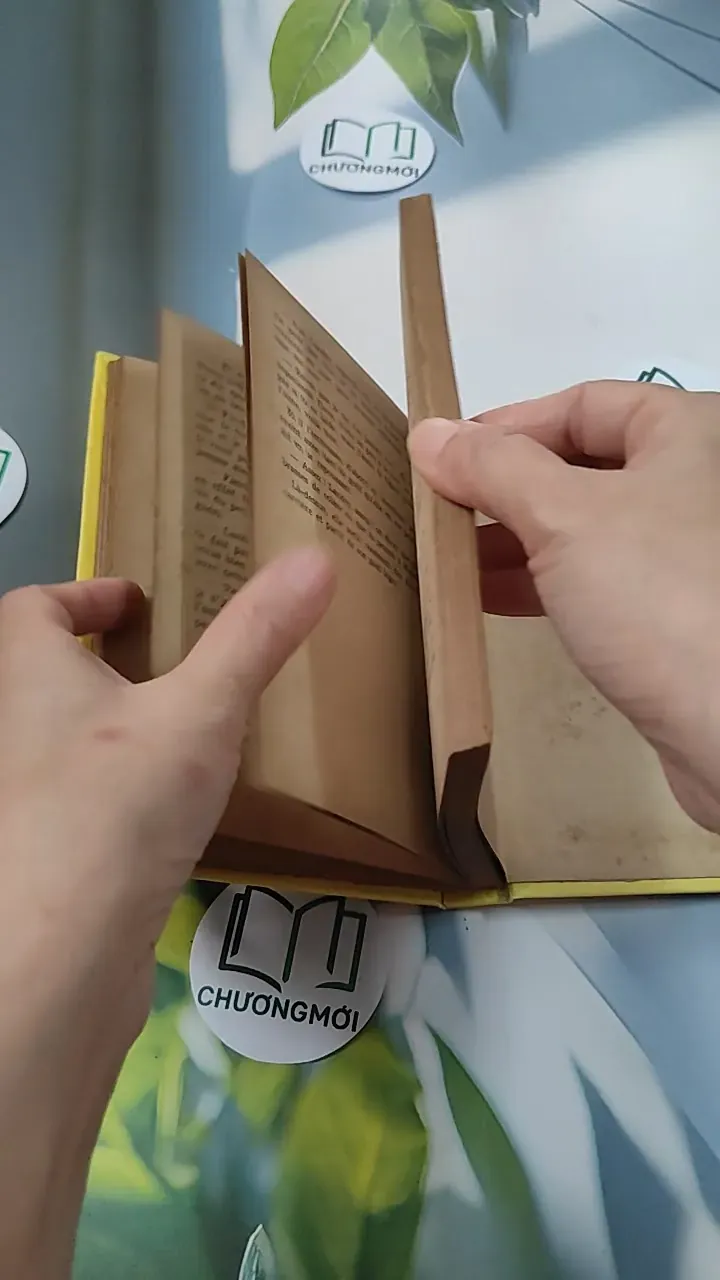 [MIỄN PHÍ BỌC SÁCH] La Petite Fadette - George Sand 749583