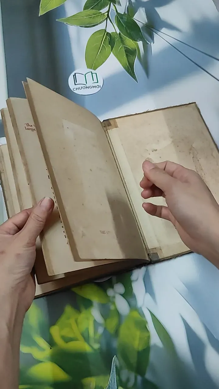 Clocks Tell the Time - Ocean House 750750