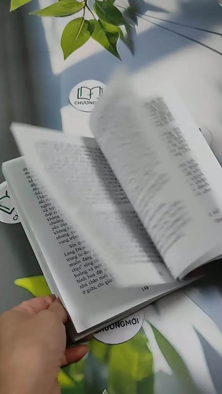 Vua Mèo - Đỗ Tuyết 707332