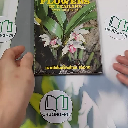 [XƯA] Flowers in Thailand Vol. 12 (1986) - Somsak Sukwong