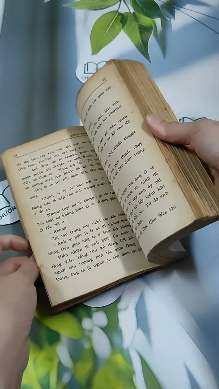 Gài Bẫy - Lynnerickson 713892