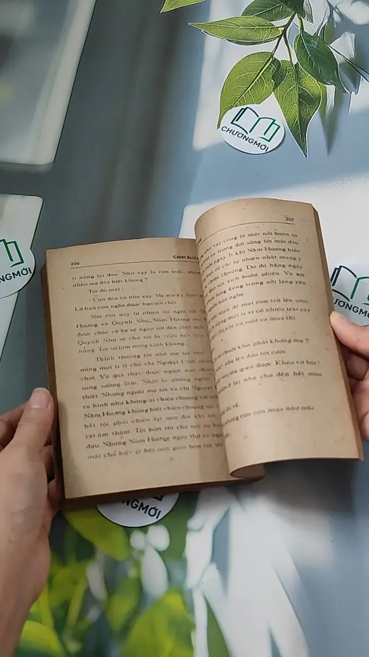 [XƯA] Cánh Bướm (1989) (Cánh Bướm) 776073