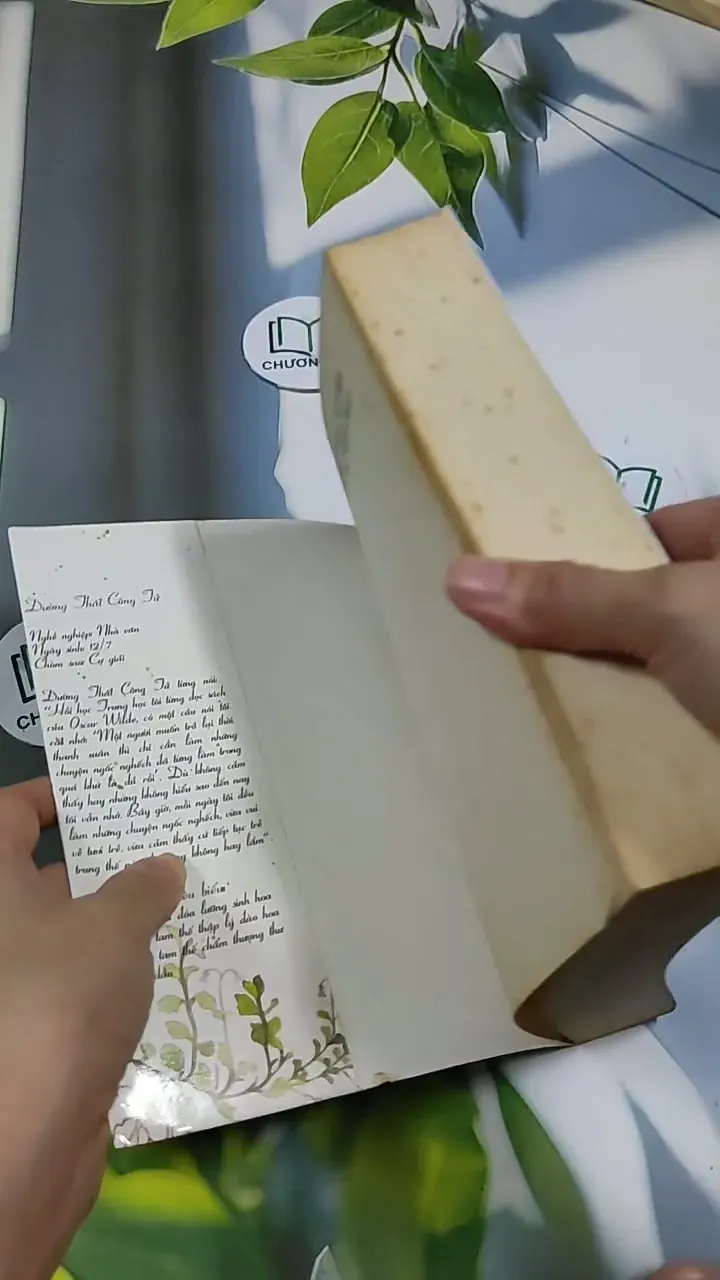 Năm Tháng Là Đoá Lưỡng Sinh Hoa - Đường Thất Công Tử 705692