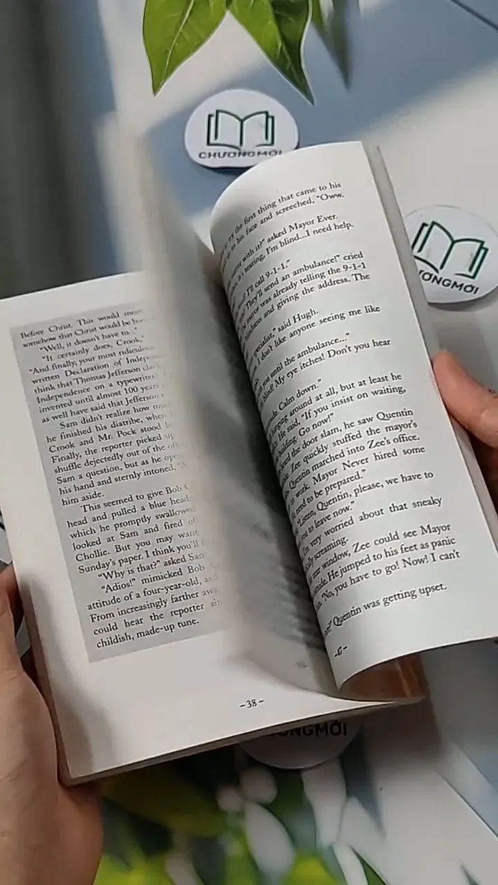 The Case of the Curious Campaign - Robert Mendelberg 703072