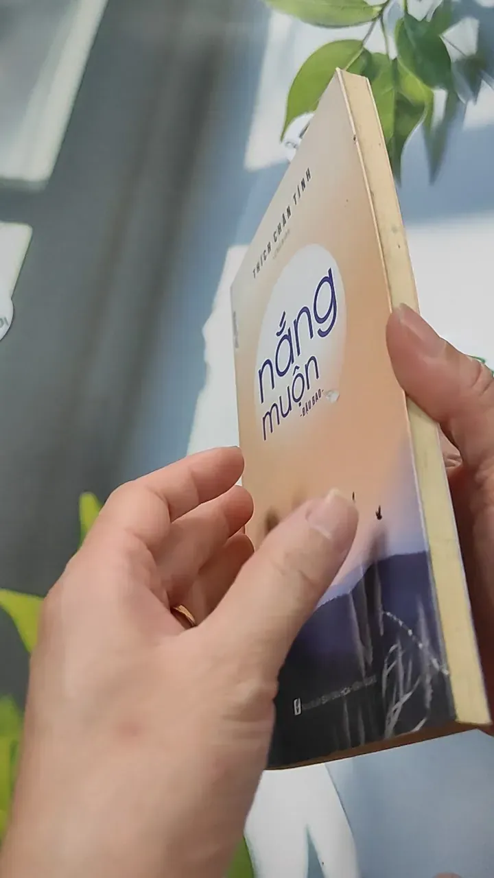 Nắng Muộn - Đậu Bảo 776107