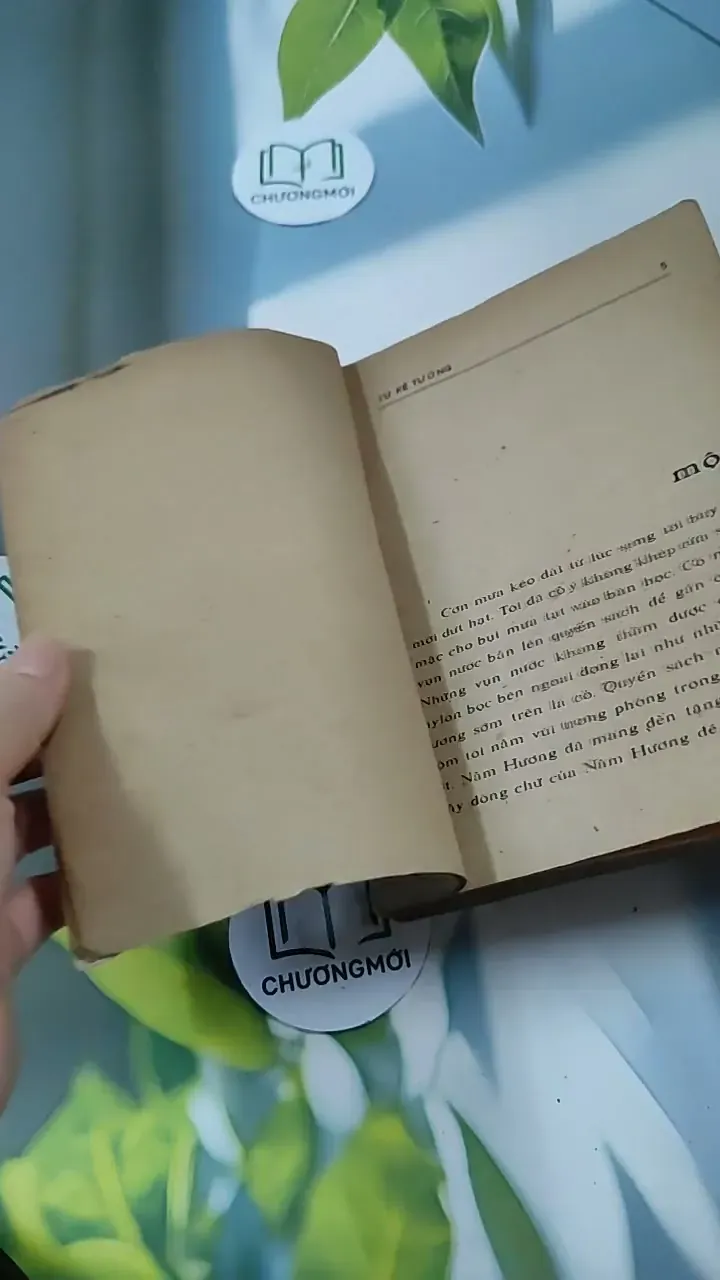 Cánh Bướm - Từ Kế Tường 713846