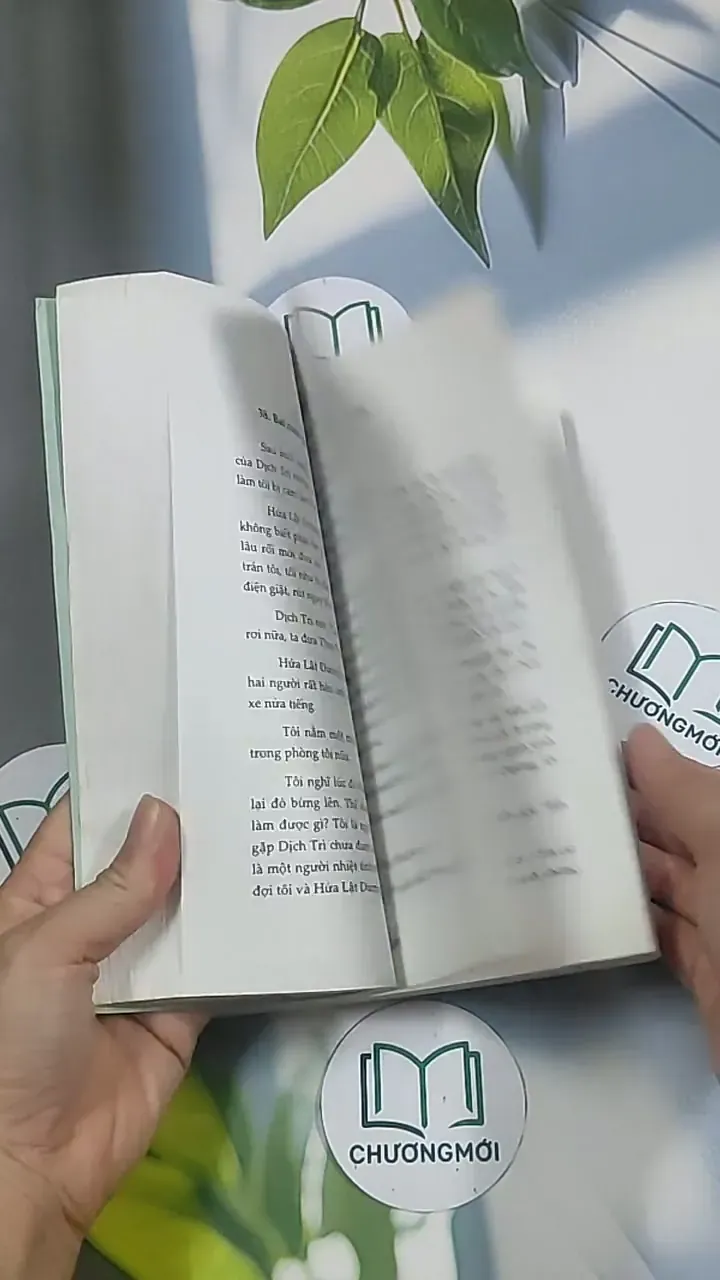 Cô đơn vào đời - Dịch Phấn Hàn 694945