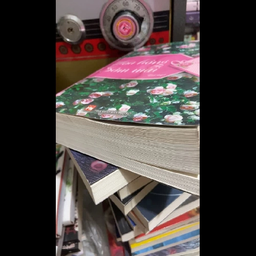 (Ngôn tình) - Hoa Hồng sớm mai - Lâm Địch Nhi ( sách từng ẩm )