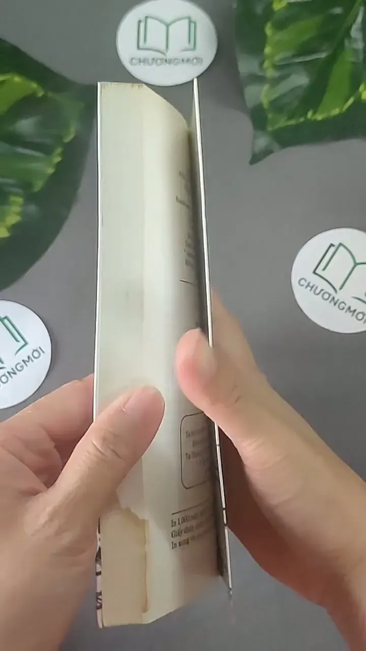 Chênh Vênh Hai Lăm - Nguyễn Ngọc Thạch 604610