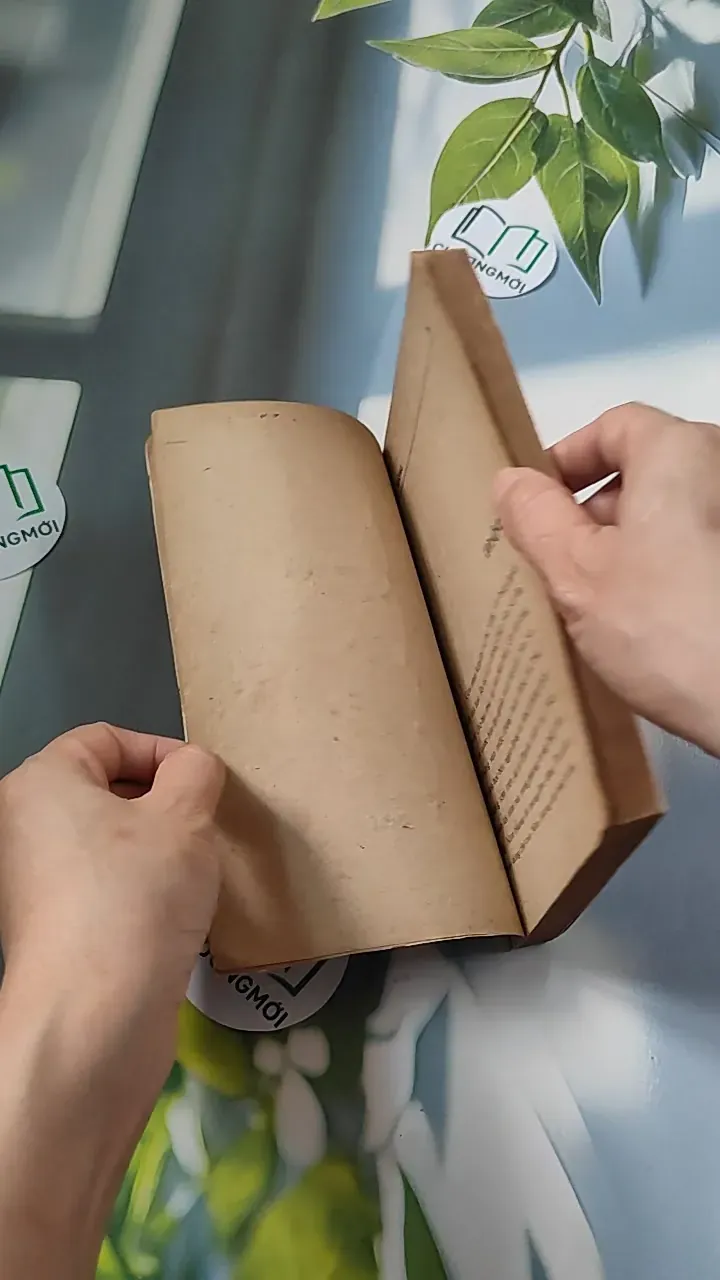 [XƯA] Cánh Bướm (1989) (Cánh Bướm) 776073