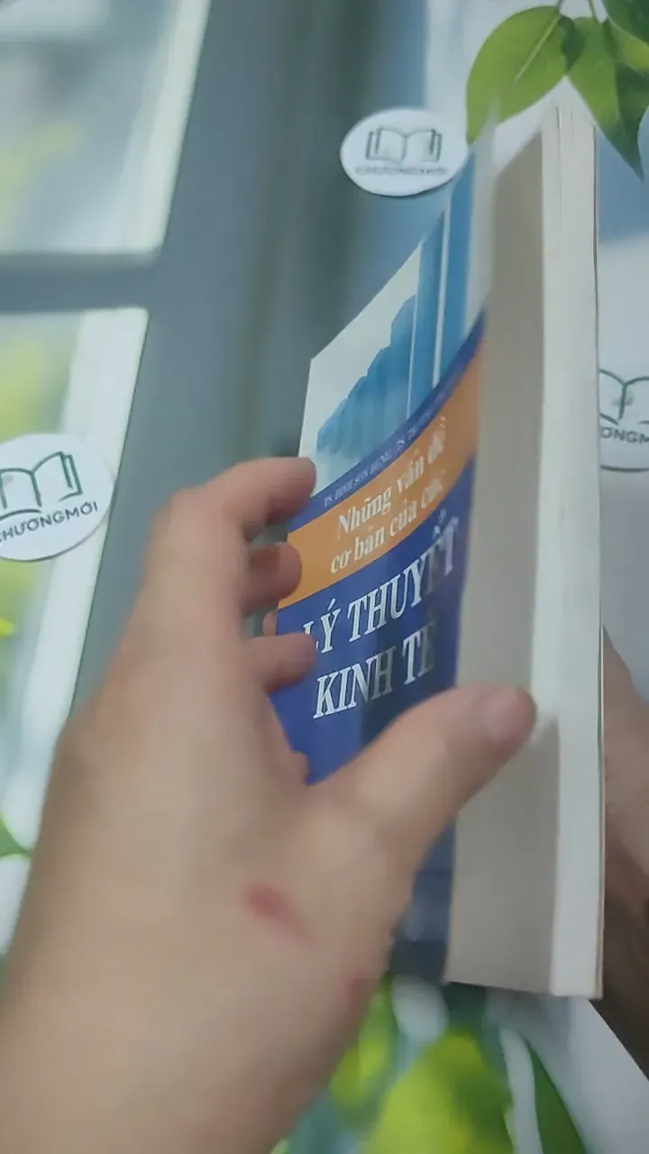 Những Vấn Đề Cơ Bản Của Những Lý Thuyết Kinh Tế - TS Đinh Sơn Hùng 727371