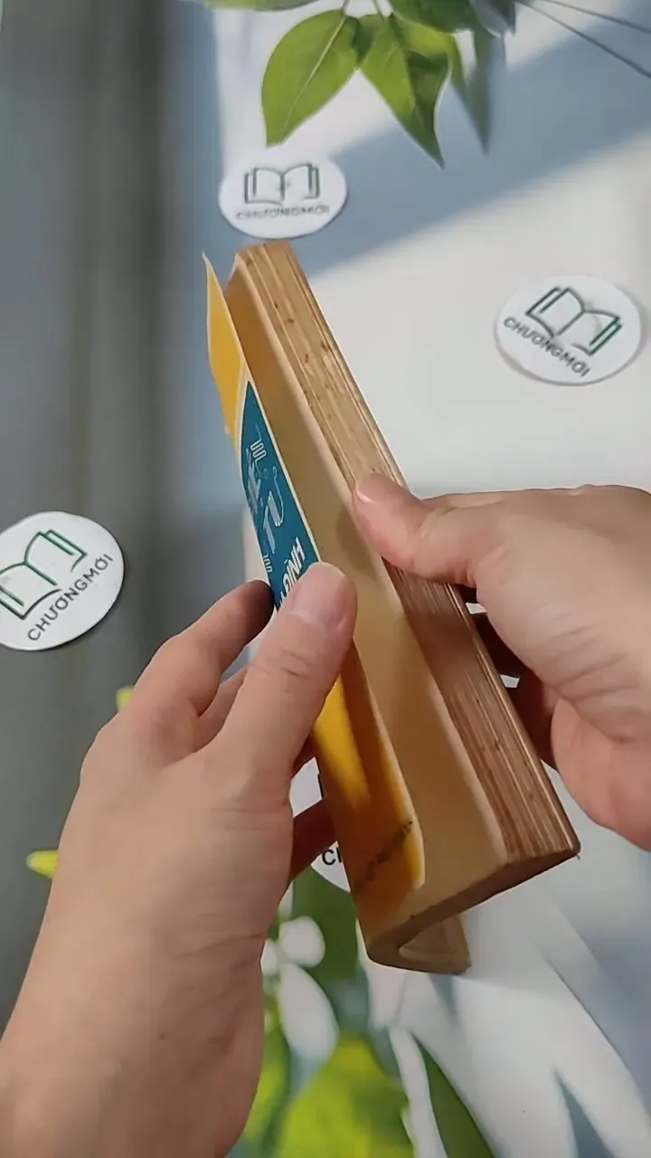 Đồ Điện Tử Trong Gia Đình - Nguyễn Hữu Tháng & Vũ Lương & Cao Thụy 713820