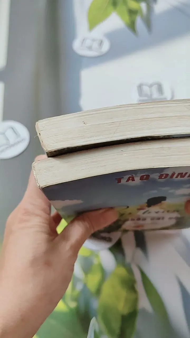 Bộ Kiếp Trước Em Đã Chôn Cất Cho Anh - Tào Đình 744693