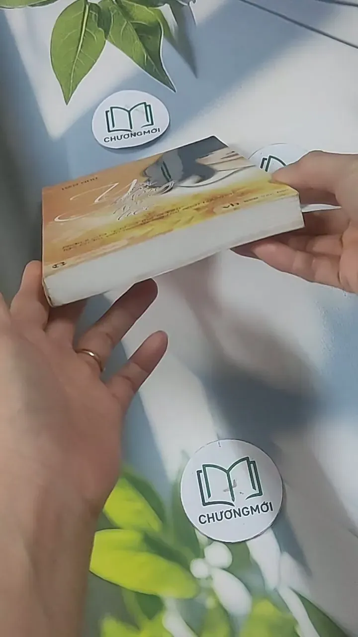 Yêu Không Hối Tiếc - Hàn Như 705549