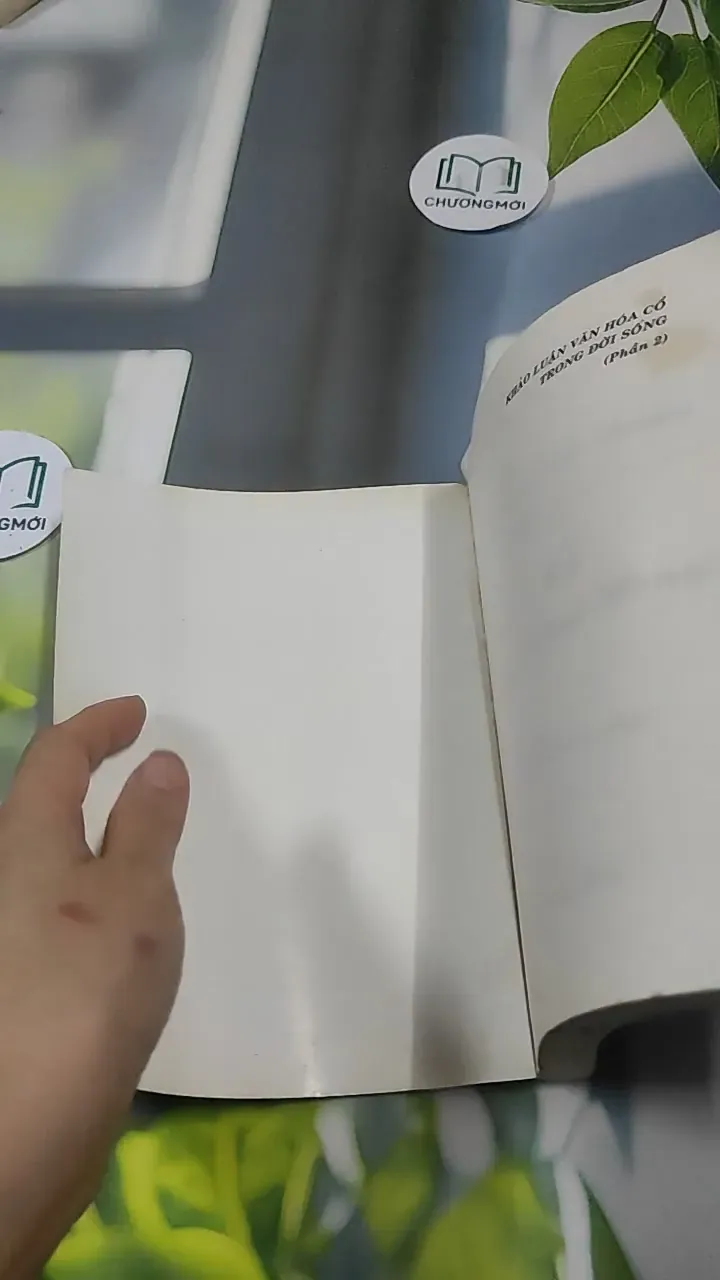 Người Đàn Bà Trong Tướng Mệnh - Lê Thành 727384