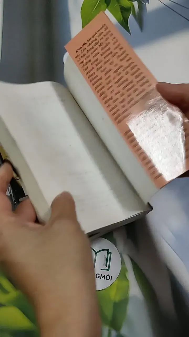 [MIỄN PHÍ BỌC SÁCH] Trọn bộ Phi Trường (tập 1 + 2) - Arthur Hailey 705781