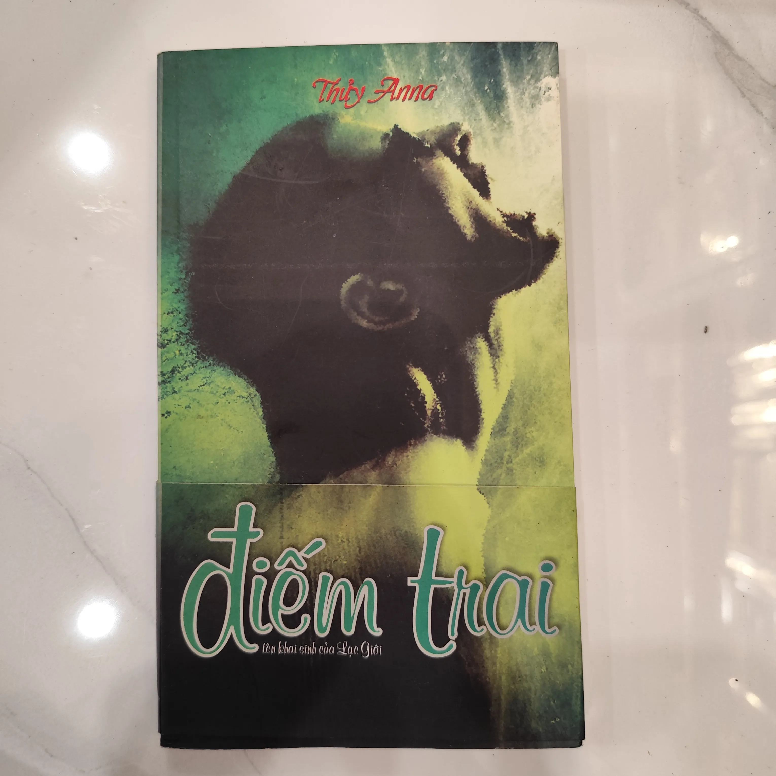 Điếm trai by  - Sách Book Cover - Ngọc Hiển Books