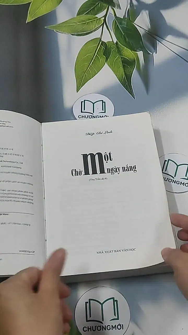 Chờ một ngày nắng - Điệp Chi Linh 694938