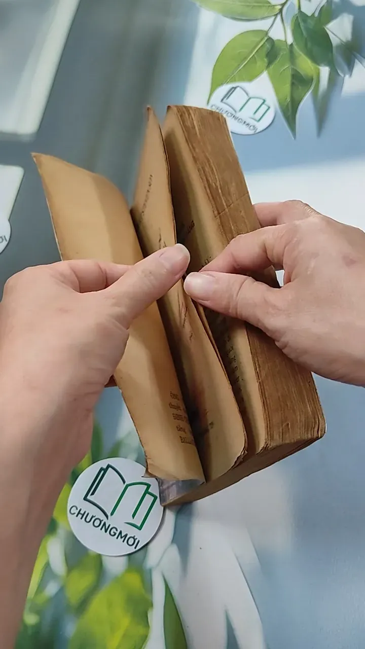 [XƯA] Ông Chủ Ballantra (1990) - Robert Louis Stevenson 776098