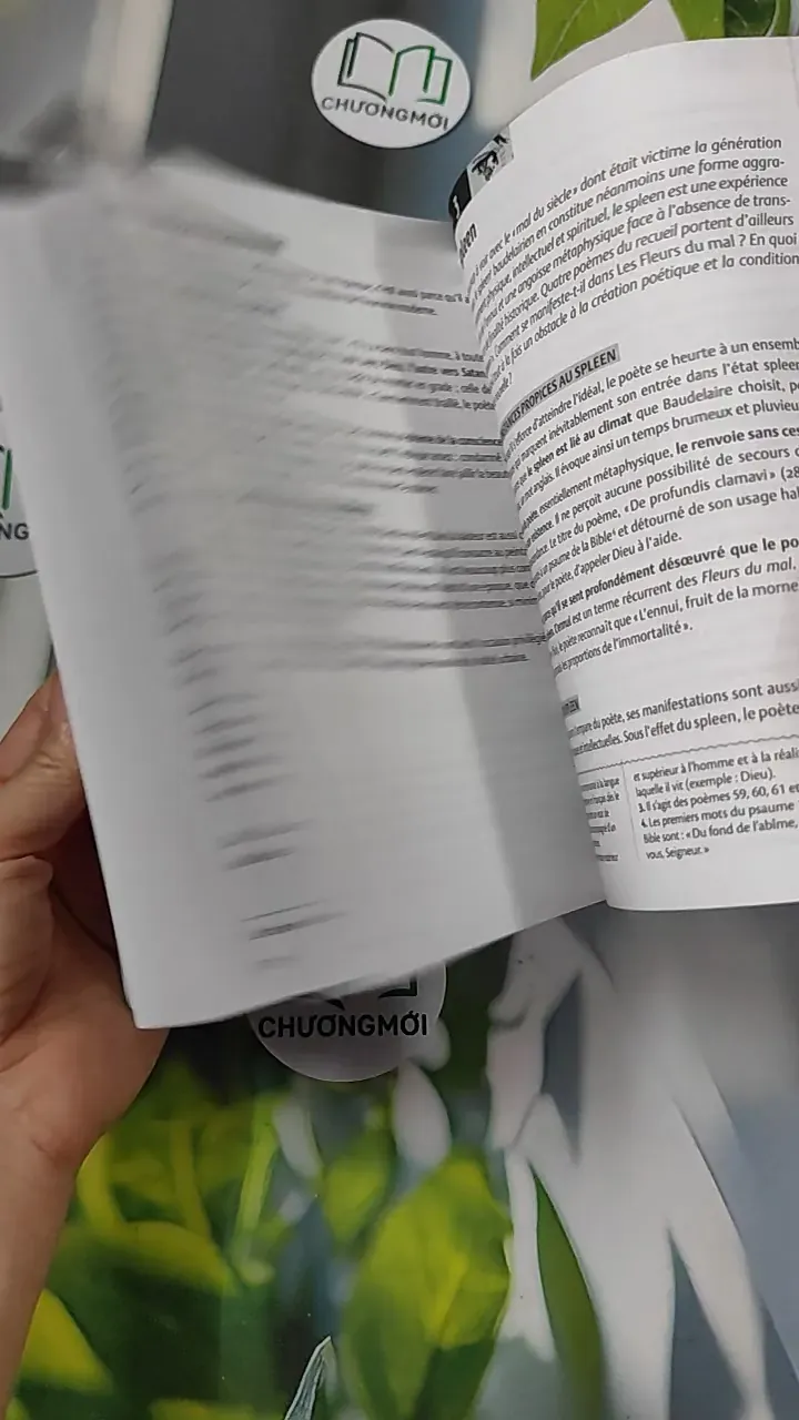 Les Fleurs du mal - Charles Baudelaire 754503