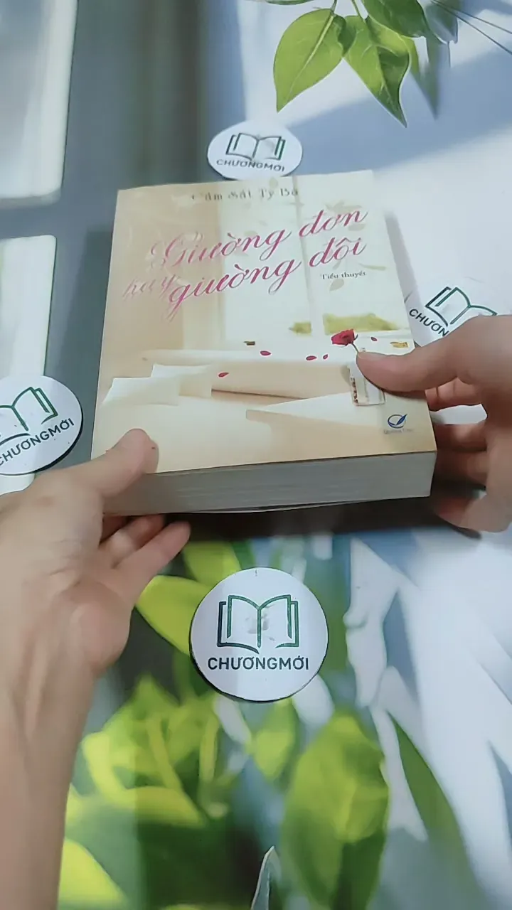 Giường Đơn Hay Giường Đôi - Cầm Sắt Tỳ Bà 744730