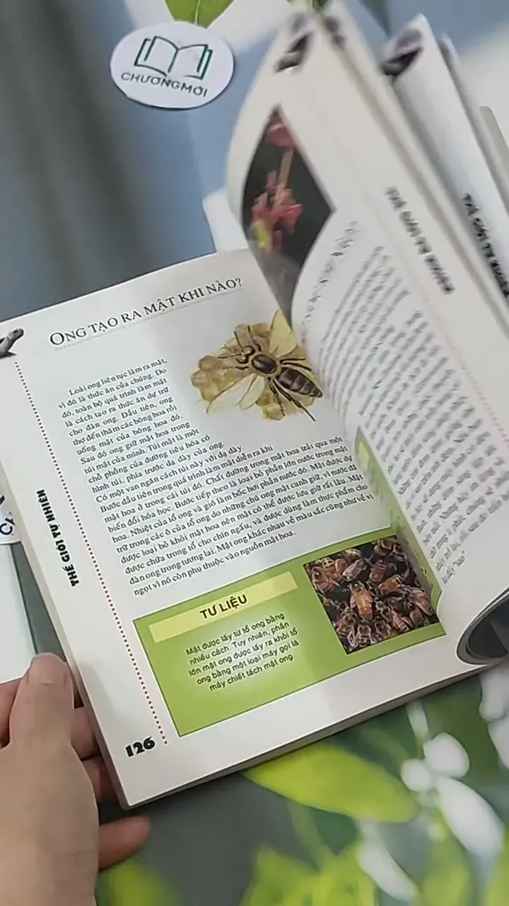 Tôi Muốn Biết Khi Nào...? - Phạm Thiên Tứ 705618