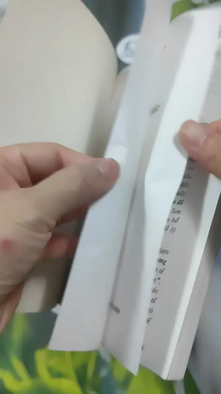 Những Vấn Đề Cơ Bản Của Những Lý Thuyết Kinh Tế - TS Đinh Sơn Hùng 727371