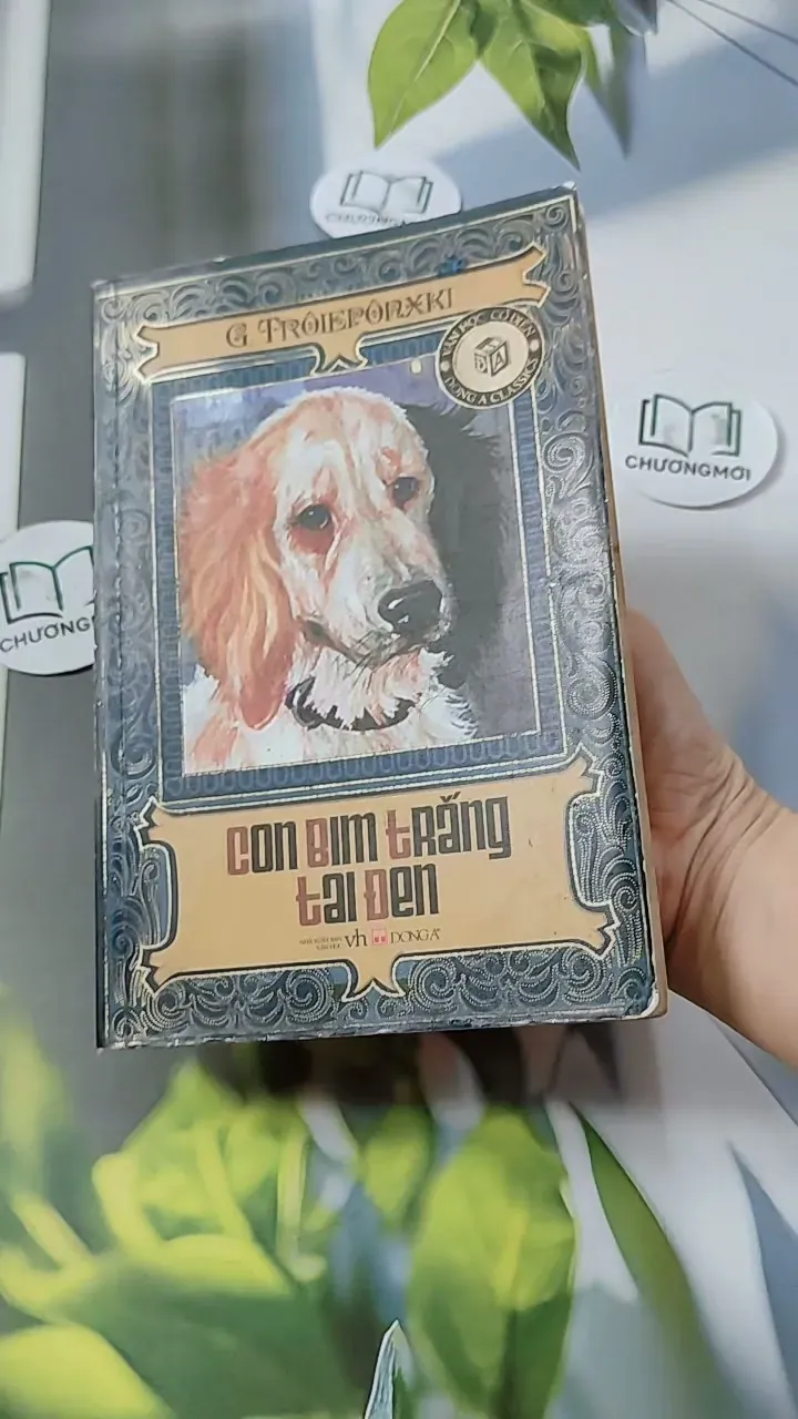 Con Bim Trắng Tai Đen 744686