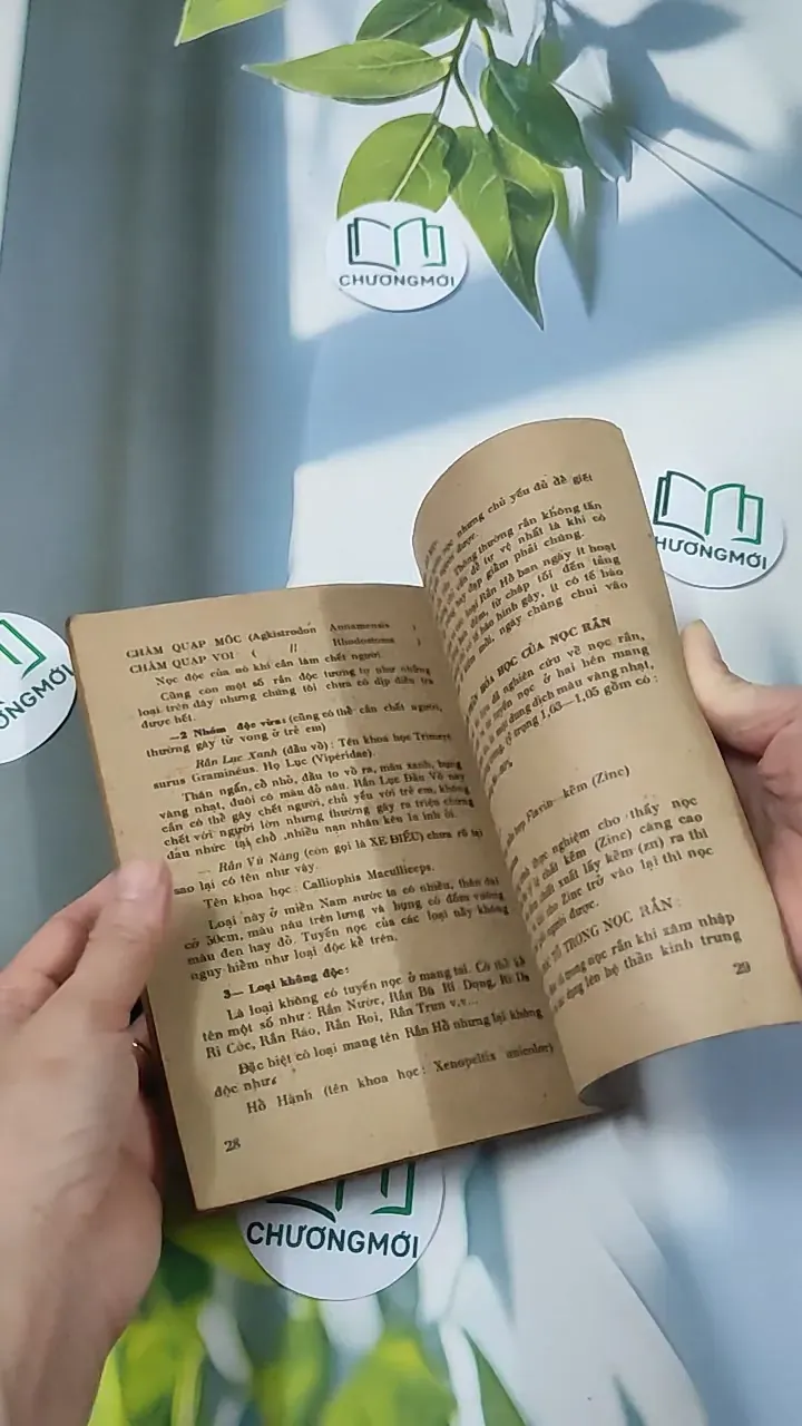 [XƯA] Cấp Cứu Và Điều Trị: Chết Đuối, Điện Giật, Rắn Độc Cắn (1982) - BS. Nguyễn Đình Thiêng - BS. Trần Văn Dược 776013