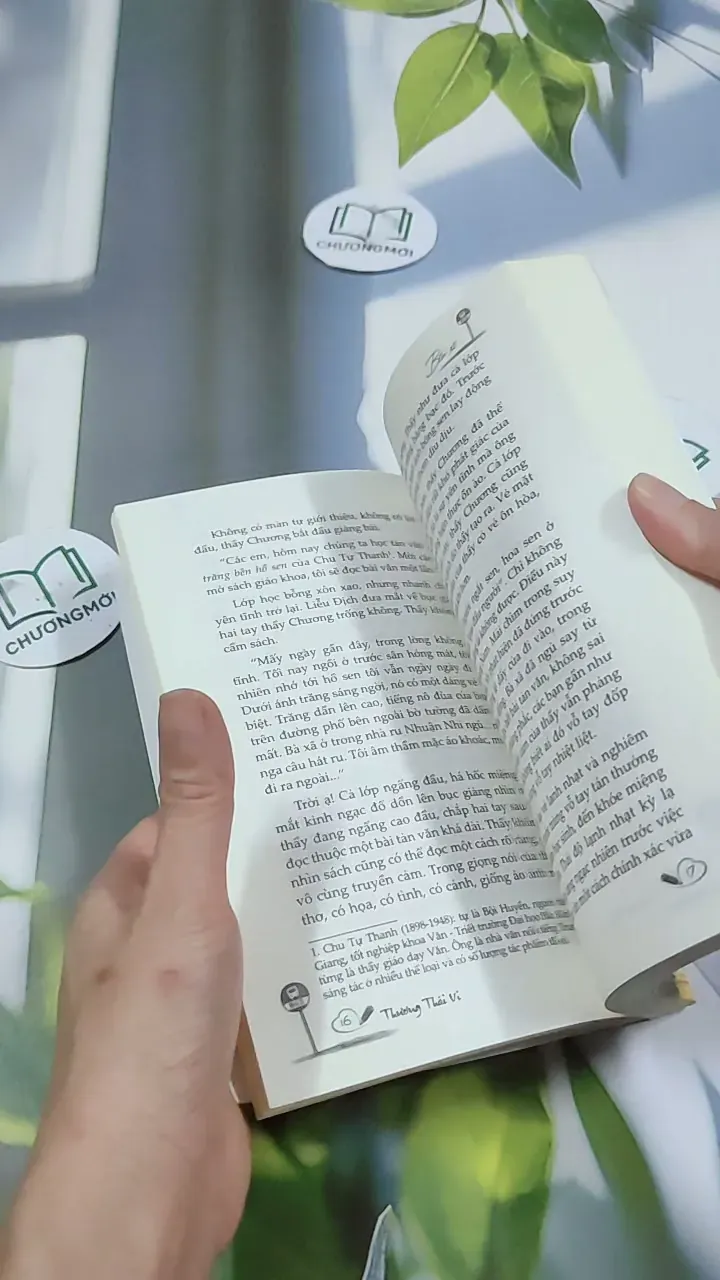 Bến Xe - Thương Thái Vi 744709