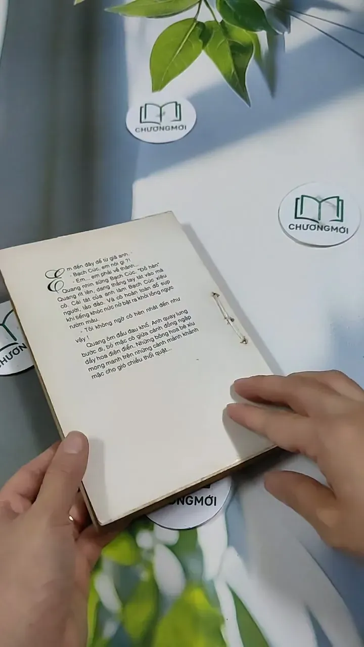 Người Đẹp Tây Đô (Tập 2) - Trầm Hương 713868