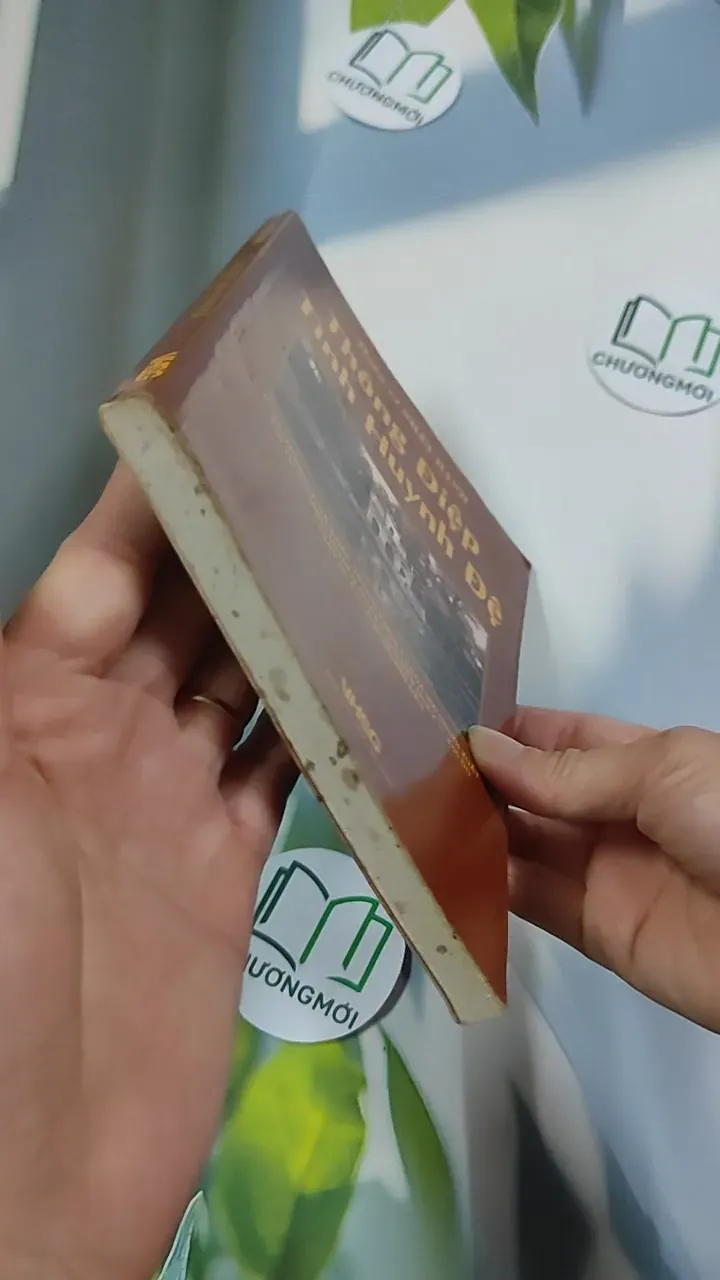 Thông điệp tình huynh đệ - Thích Nhất Hạnh 776241