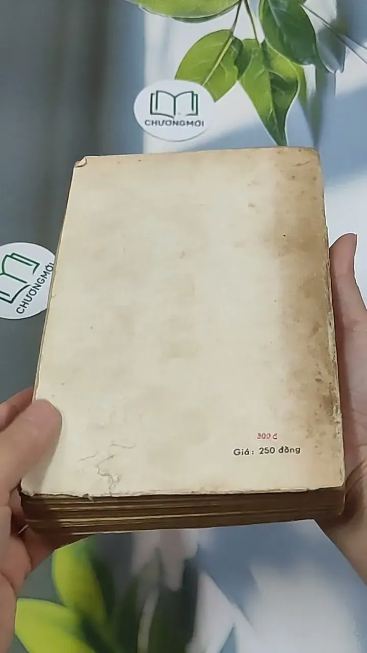 Bức Họa Maja Khỏa Thân (1986) - Samuel Edwards 674968