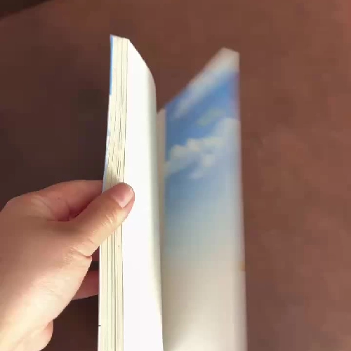 Chuyện Con Mèo Dạy Hải Âu Bay – Luis Sepúlveda | K3