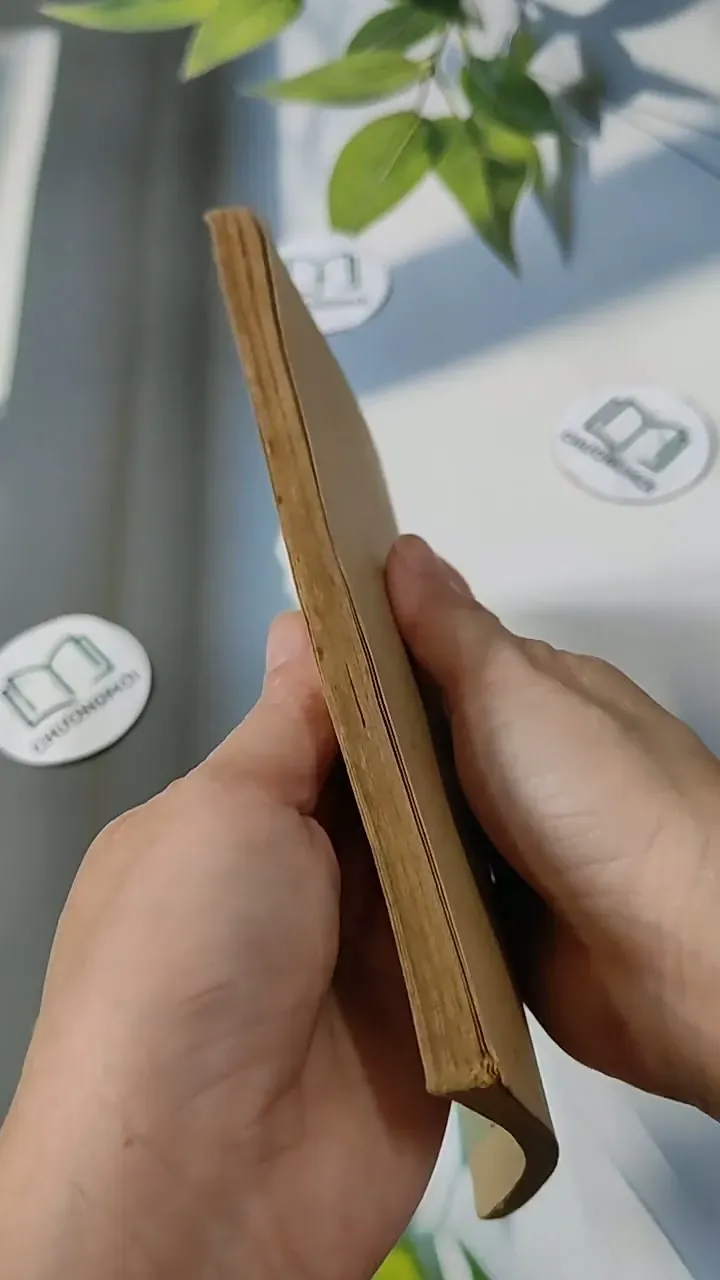 Sách Giáo Viên: Tiếng Việt 9 (tập 1) - Nguyễn Lộc & Đỗ Quang Lưu 713797