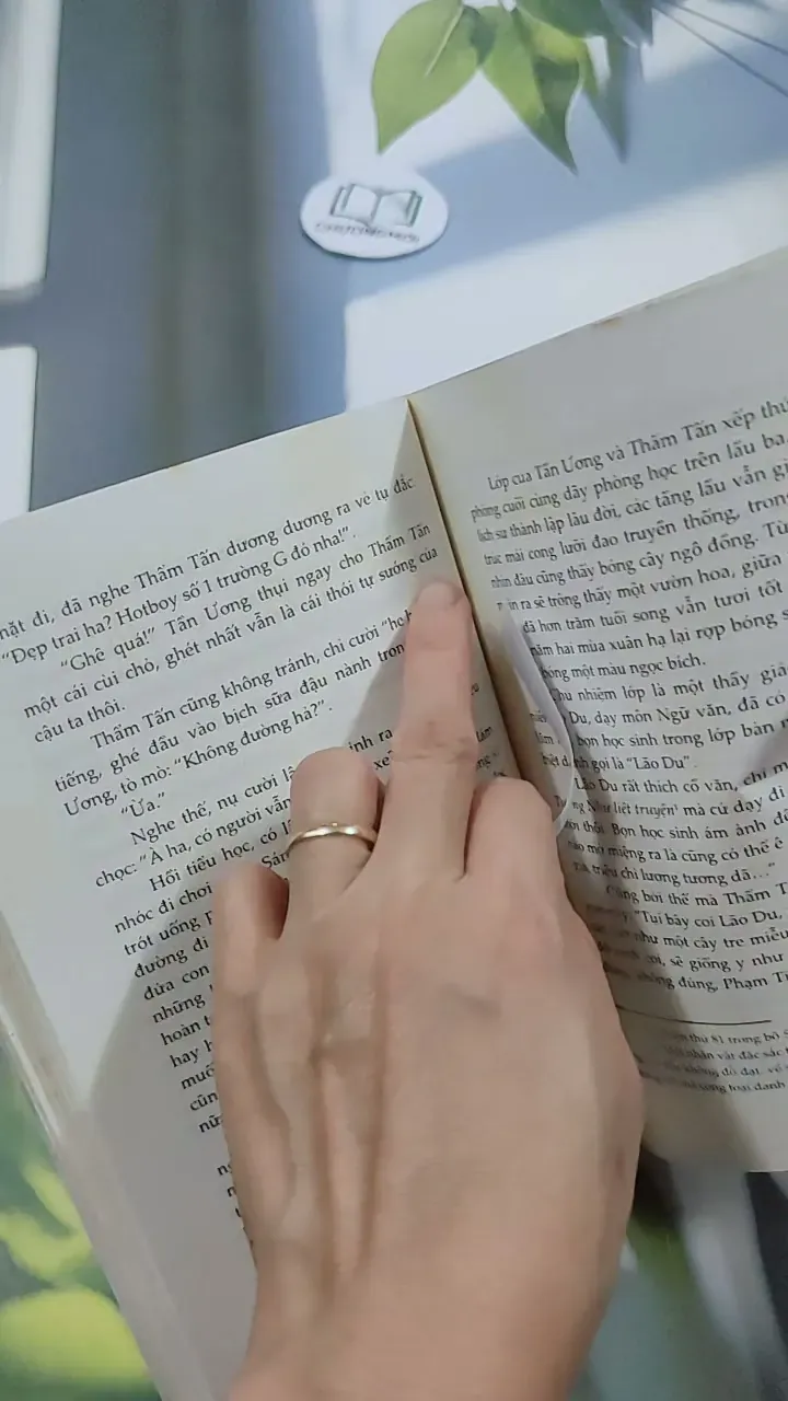 Này Những Phong Hoa Tuyết Nguyệt - Công Tử Hoan Hỉ 744702