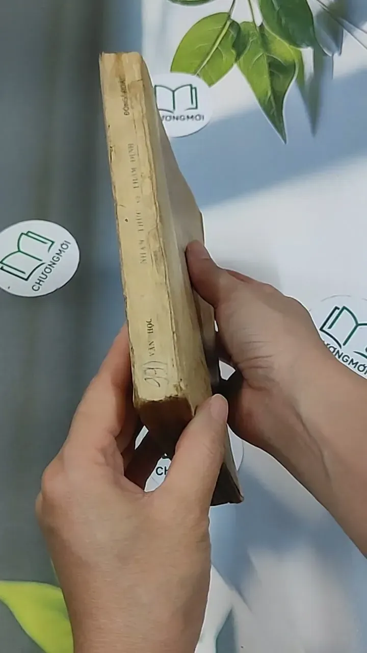 Nhận Thức và Thẩm Định (1983) - Đông Hoài 674969