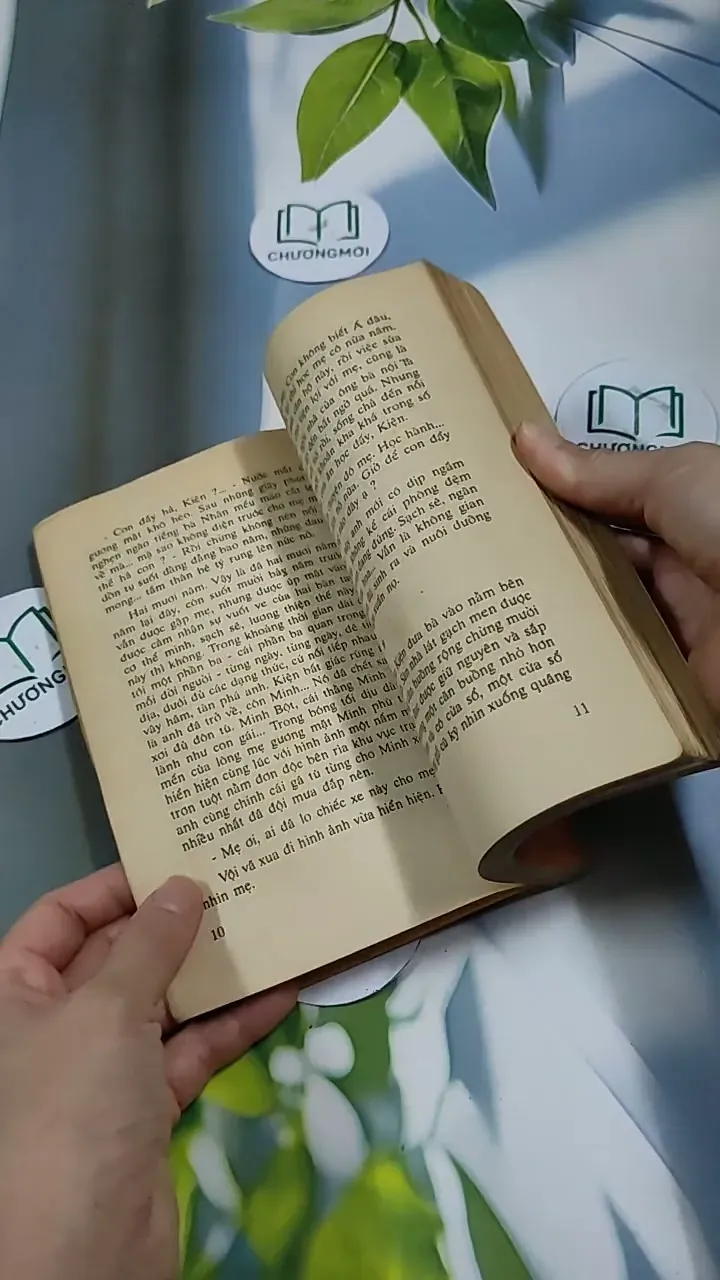 Người Đàn Bà Tuổi Bính Thân - Phạm Thị Minh Thư 713893