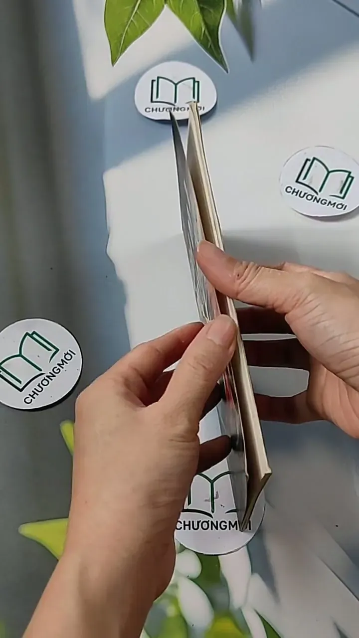 Girl on a Motorcycle  - John Escott  703124