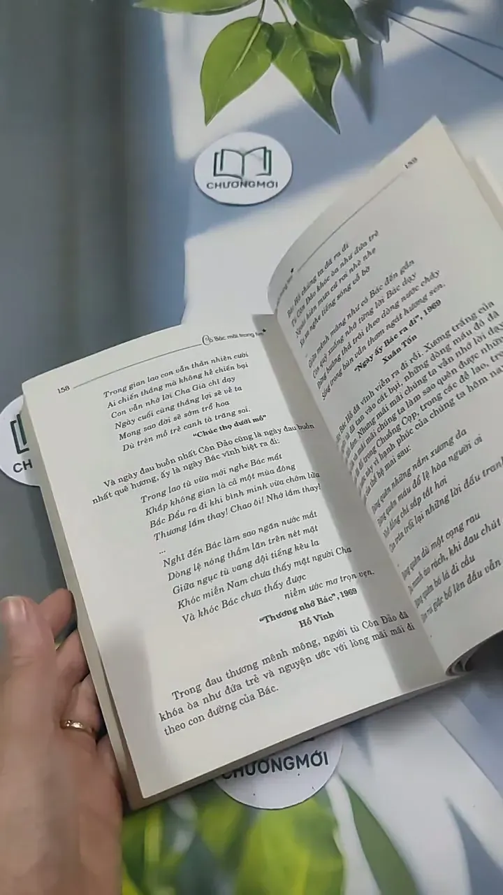 Có Bác Mãi Trong Tim 715608